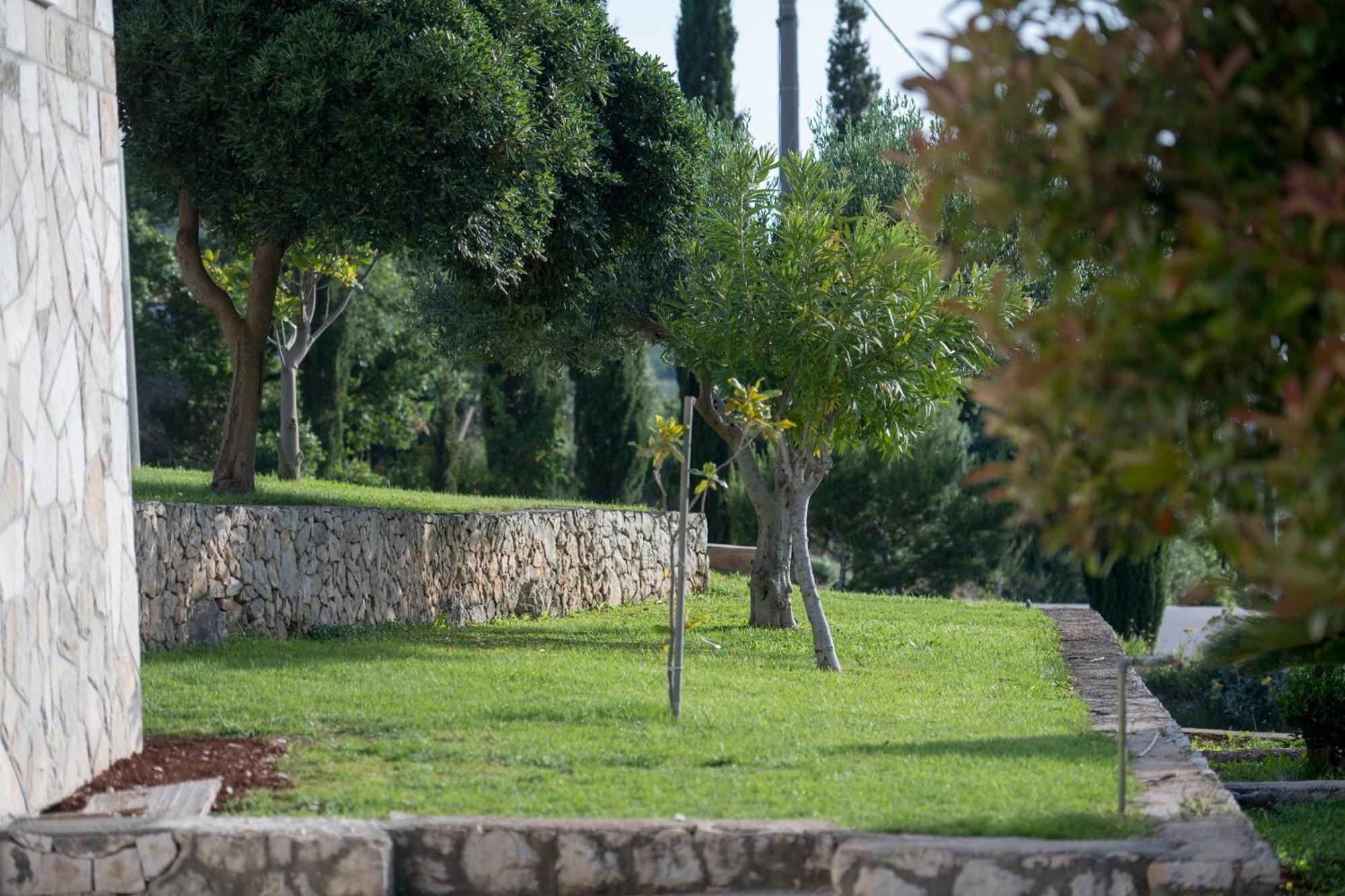 Apartments Mi&Ni Cavtat Ruang foto